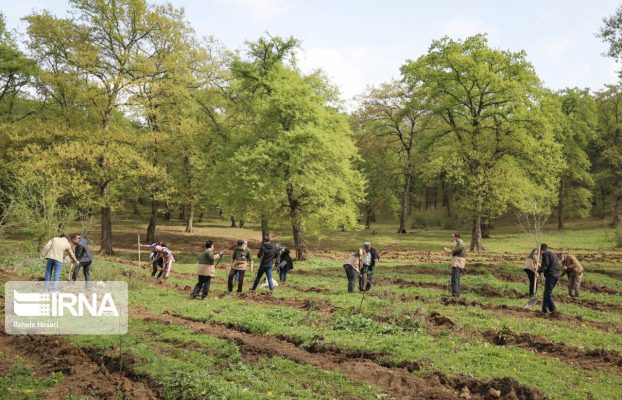 اجرای تفاهمنامه سبز در بجنورد؛ تولید سالانه ۱۵۰ هزار اصله نهال
