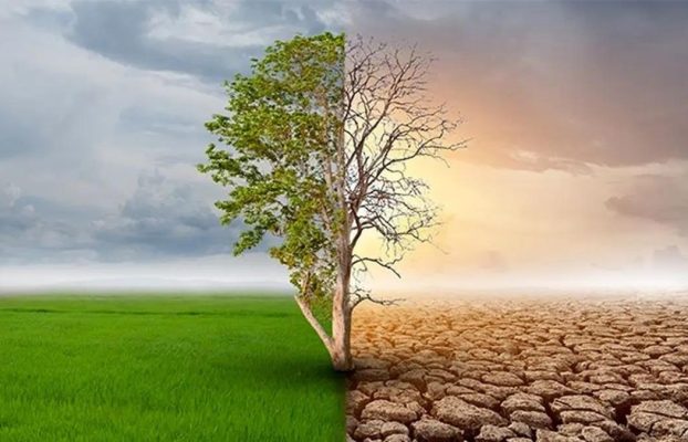 فراز و فرود روند اجرای تعهدات اقلیمی درسال ۲۰۲۶