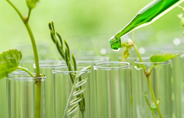 پژوهشهای شیمی و محیطزیست باید به راهکارهای اجرایی تبدیل شوند